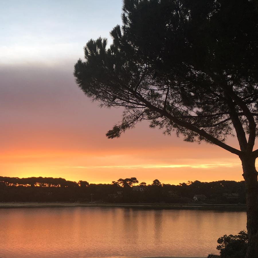 Hotel Les Hortensias Du Lac Soorts-Hossegor Kültér fotó